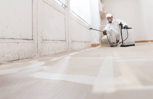 24/7 Emergency Mold Testing experts in Kingston, WA