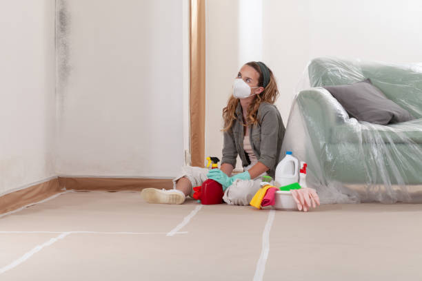 Reliable Mold Testing contractor in Kingston, WA by WQB Mold Removal